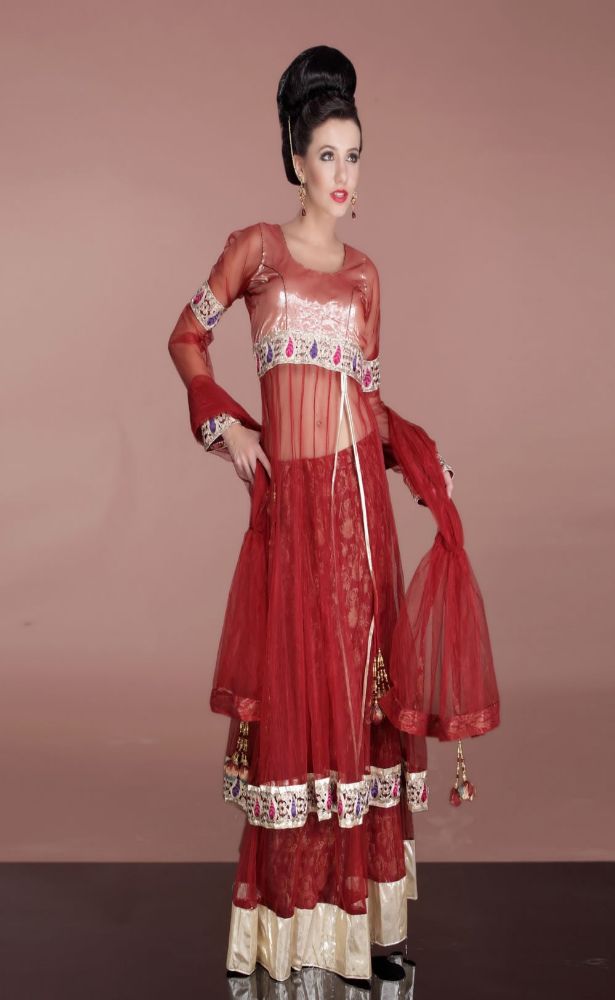  - Wedding and party wear indian dresses designs. (1)